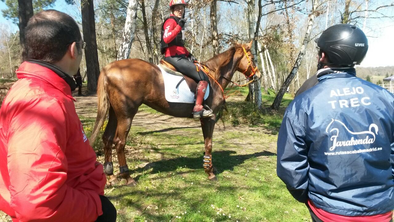 Concurso TREC Internacional en Saint Antoine d´Auberoche (Francia)